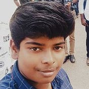 Saran Raj