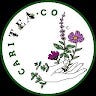 Caritea