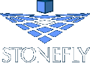 StoneFly Inc,