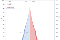 Policy Lessons from the Population Pyramid