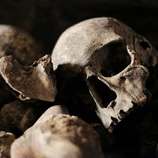 Large and More Dense Skulls in South Florida Were Found.
