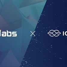 Iagon IDO Details Overview (#2)*