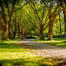 European Day of Parks 2023: “Building on Our Roots”