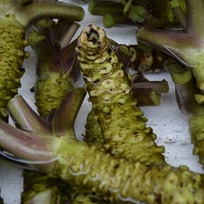 Does Wasabi Improve Memory?