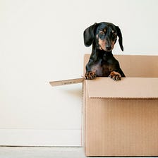 Moving to a new house — Simple tips for everyone