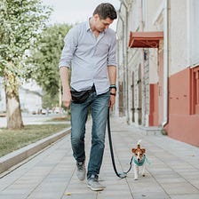 Enhancing Your Dog Walking Experience with Effective Verbal Communication