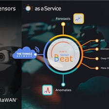 LoRaWAN® Sensors as a Service