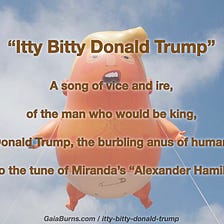 Itty Bitty Donald Trump — Gaia Burns
