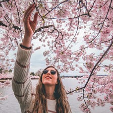 Time to Bloom 🌷 How Spring Can Refresh Your Creative Soul