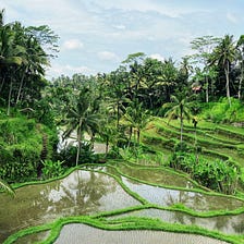 Exploring the Growth Potential of Villa 10 in Ubud, Bali