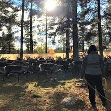 Holistic Landscapes: Protecting Sámi Land and Climate Justice — Teachings by Susanna Israelsson