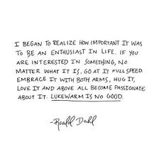 I am a Life Enthusiast