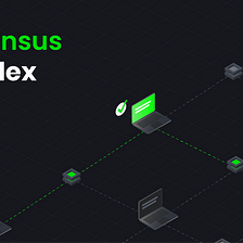 An Overview of Consensus In Beldex