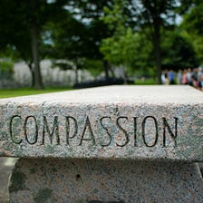 How I Brought More Compassion Into My Life
