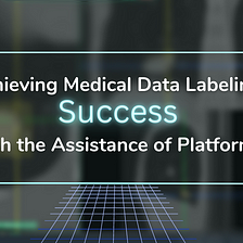 Achieving Medical Data Labeling Success with the Assistance of Platforms