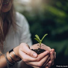 If you could only ask one question, which is most powerful?