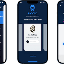 Zinnia Development & Launch Update