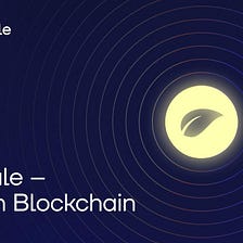 Everscale — Peduli Blockchain!