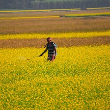 Are Pesticides Killing Your Sperm?