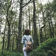 Long Nature Walks: A Powerful Tool for Clearing Your Mind