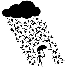 Why Do We Say ‘ It’s Raining Cats and Dogs’?