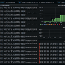 OBSERVABILITY AT THE CORE OF IGUANE SOLUTIONS