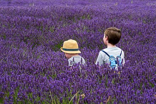 How to Use Lavender Oil for Skin Care, Hair Growth, Stress Relief, and More