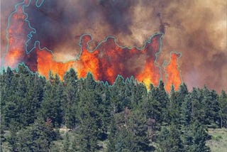 How Can AI Stop Wildfires?
