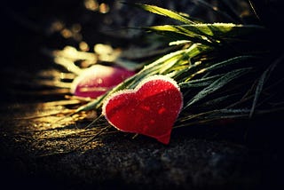 The Awakened Heart: When Love Becomes Who You Are