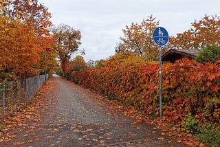 The Diplomacy of Death