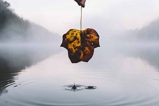 Settle * Submerge