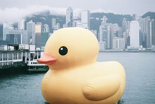 A giant rubber duck in a dock.