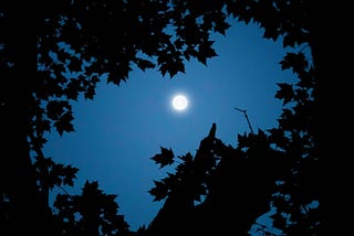 Throughout the Darkest Hour, I Found Light
