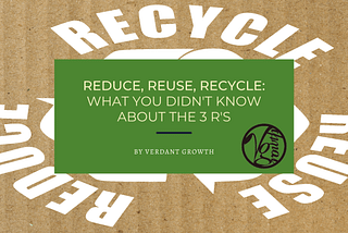 Reduce, Reuse, Recycle: What You Didn’t Know About The 3 R’s