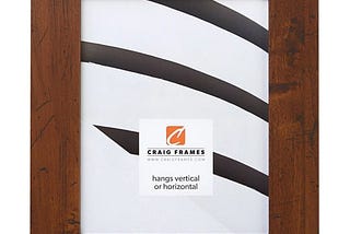 craig-frames-bauhaus-200-14x18-inch-picture-frame-dark-walnut-brown-size-14-x-18-1