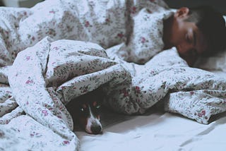 I Would Always Love Falling Asleep Gazing at the Sleepy You