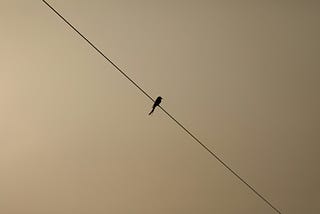 spirit, creativity, poetry, poems on Medium