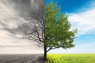 Refuse to Fail: Insights From a Turnaround Mastermind