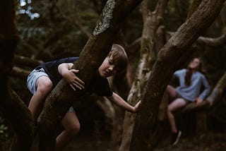 Young children playing among trees