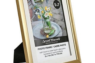 special-moments-memories-collection-matted-gold-plastic-picture-frames-at-dollar-tree-1