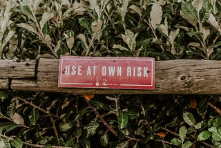 Take the risk… Investing young and dumb
