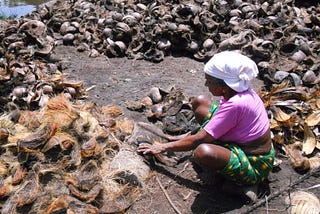 Coir Liners: The Pros and Cons of Using Coconut Fibres in Planters