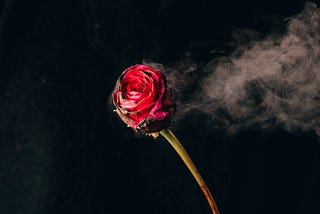 Three bitter drops