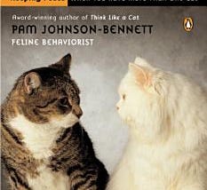 Cat vs. Cat | Cover Image