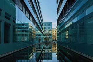 What Corporates Should (Not) Learn from VCs