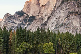 Mountain and a deer, beautiful nature