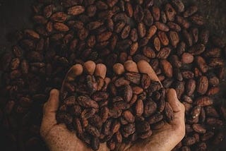 What’s All The Buzz About Fair Trade Coffee?