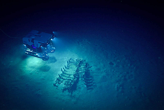 Apache Submarine 0.4.0 Release: What’s new and coming?