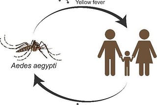 Dengue — Machine learning prediction models using time-series weather data.