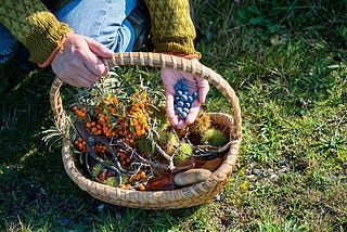 Gaia’s Hand